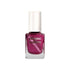 SOLSTICE NAIL POLISH